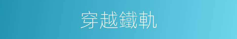 穿越鐵軌的同義詞