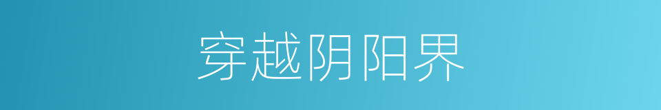 穿越阴阳界的同义词