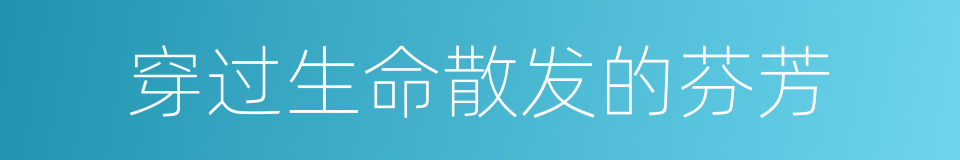 穿过生命散发的芬芳的同义词