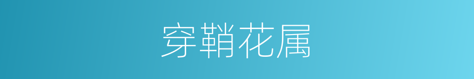 穿鞘花属的同义词