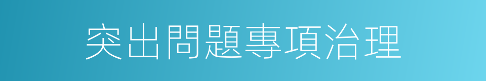 突出問題專項治理的同義詞