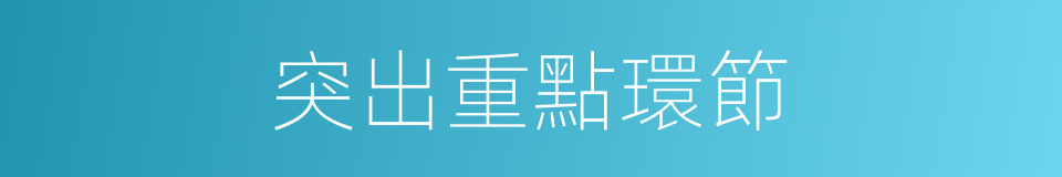 突出重點環節的同義詞