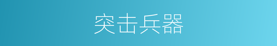 突击兵器的同义词