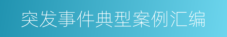 突发事件典型案例汇编的同义词