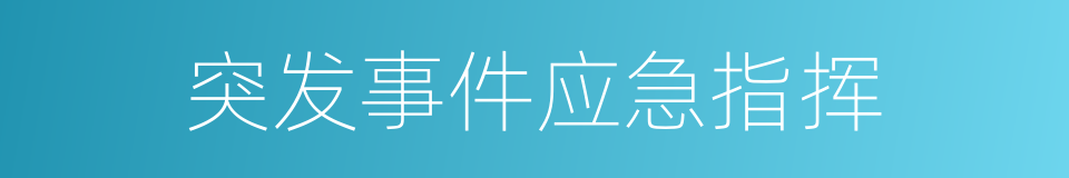 突发事件应急指挥的同义词