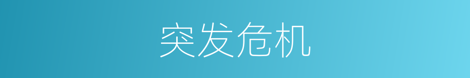 突发危机的同义词
