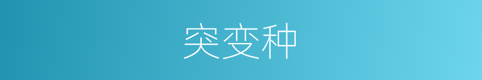 突变种的同义词