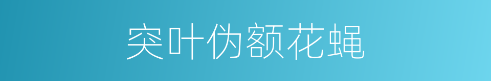 突叶伪额花蝇的同义词