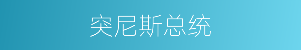 突尼斯总统的同义词