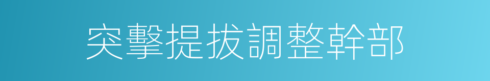 突擊提拔調整幹部的同義詞