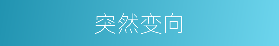 突然变向的同义词