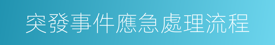 突發事件應急處理流程的同義詞