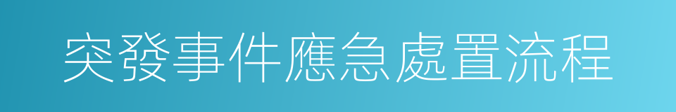 突發事件應急處置流程的同義詞