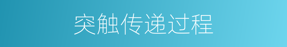 突触传递过程的同义词