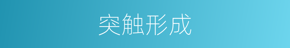 突触形成的同义词