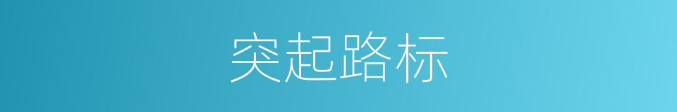 突起路标的同义词