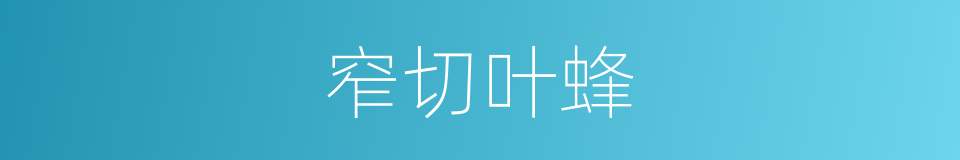 窄切叶蜂的同义词