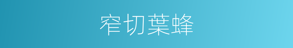 窄切葉蜂的同義詞