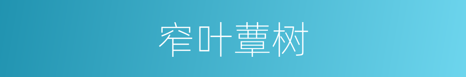 窄叶蕈树的同义词