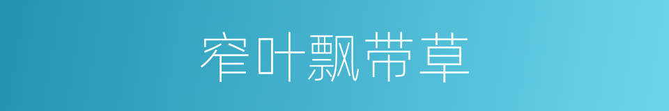 窄叶飘带草的同义词