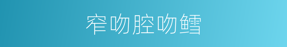 窄吻腔吻鳕的同义词