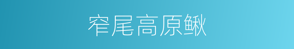 窄尾高原鳅的同义词