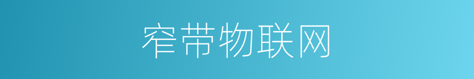 窄带物联网的同义词