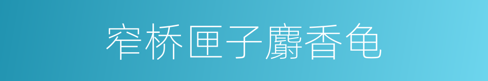 窄桥匣子麝香龟的同义词
