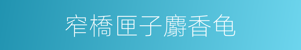 窄橋匣子麝香龟的同義詞