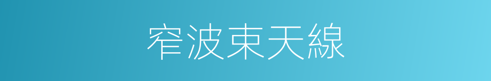 窄波束天線的同義詞