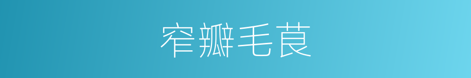 窄瓣毛茛的同义词