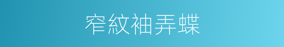 窄紋袖弄蝶的同義詞