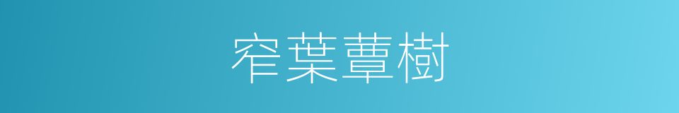 窄葉蕈樹的同義詞