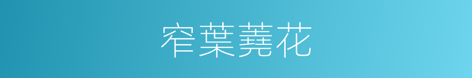 窄葉蕘花的同義詞