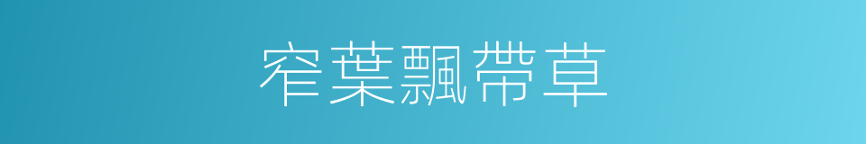 窄葉飄帶草的同義詞
