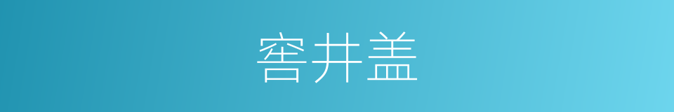 窖井盖的同义词