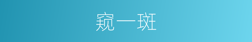 窥一斑的同义词