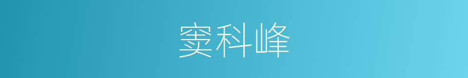 窦科峰的同义词