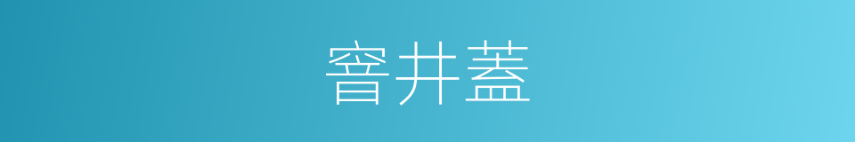 窨井蓋的意思