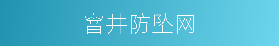 窨井防坠网的同义词