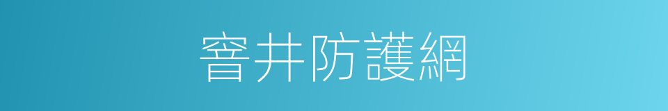 窨井防護網的同義詞