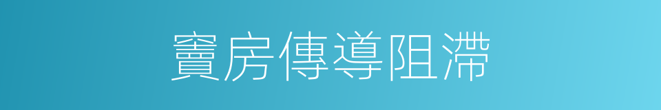 竇房傳導阻滯的同義詞