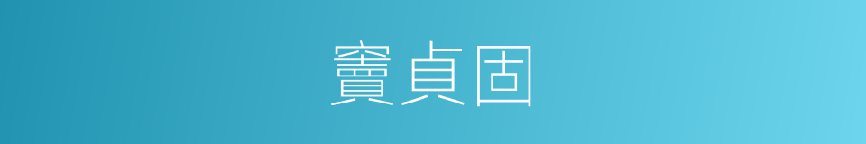 竇貞固的同義詞