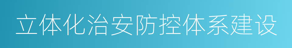 立体化治安防控体系建设的同义词