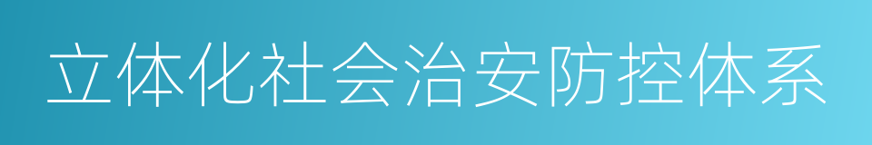 立体化社会治安防控体系的同义词