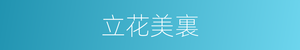 立花美裏的同義詞