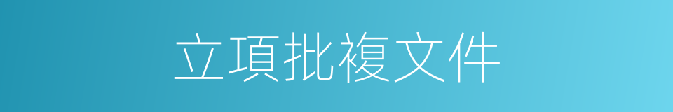立項批複文件的同義詞