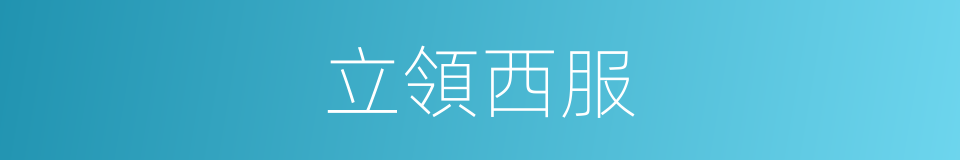 立領西服的同義詞