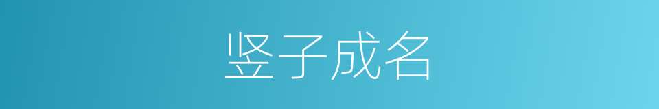 竖子成名的意思