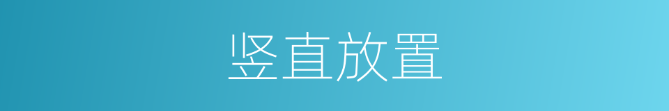 竖直放置的同义词